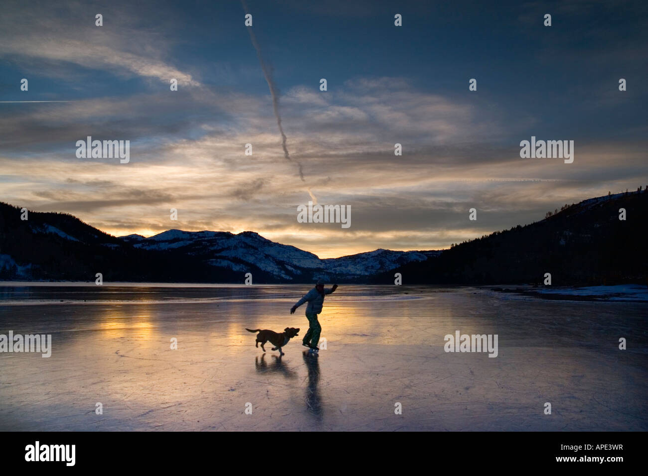 A silhouette of a woman ice skating with her dog on Donner Lake California at sunset. Stock Photo
