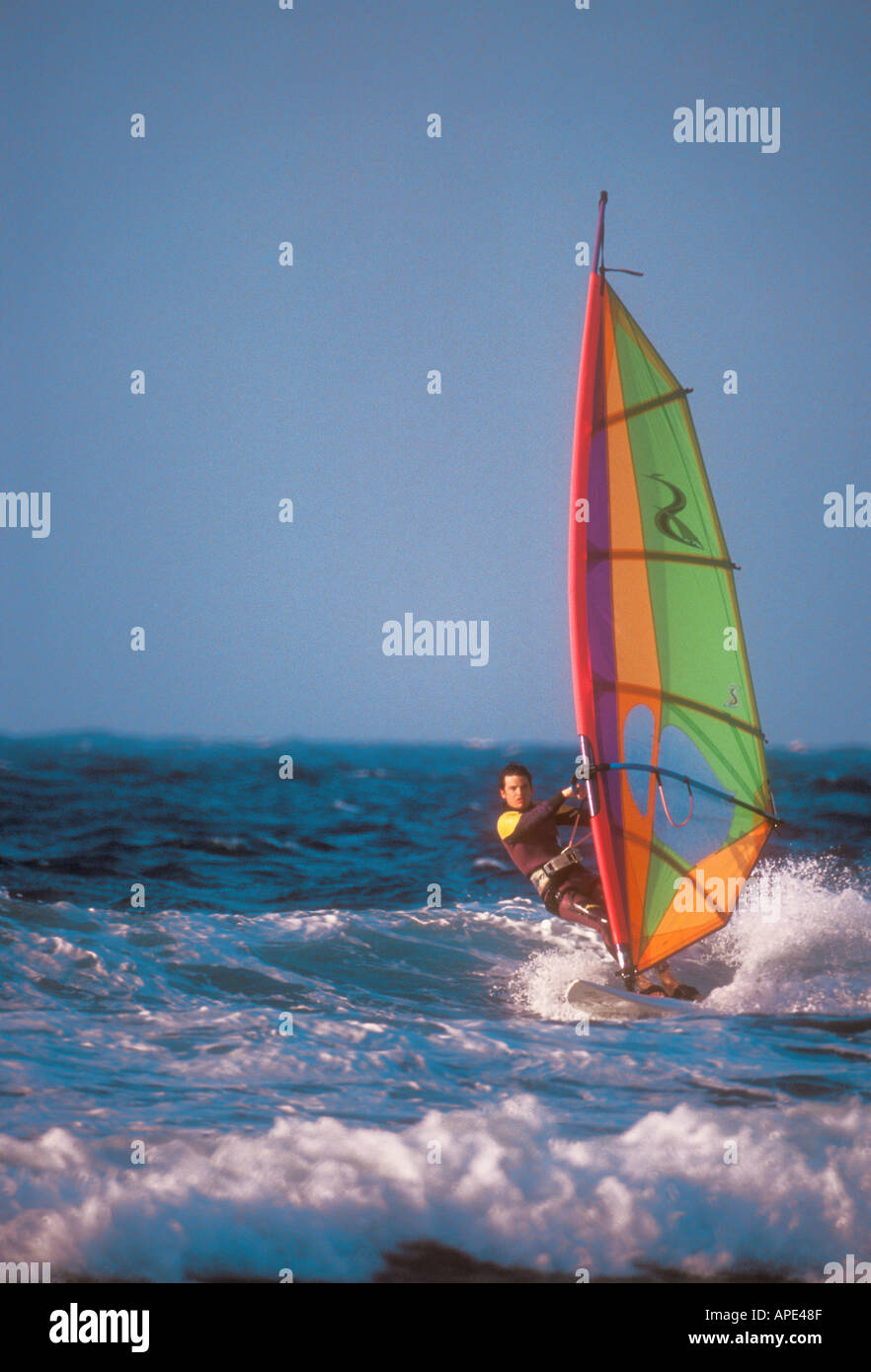 Windsurfing Malta Stock Photo