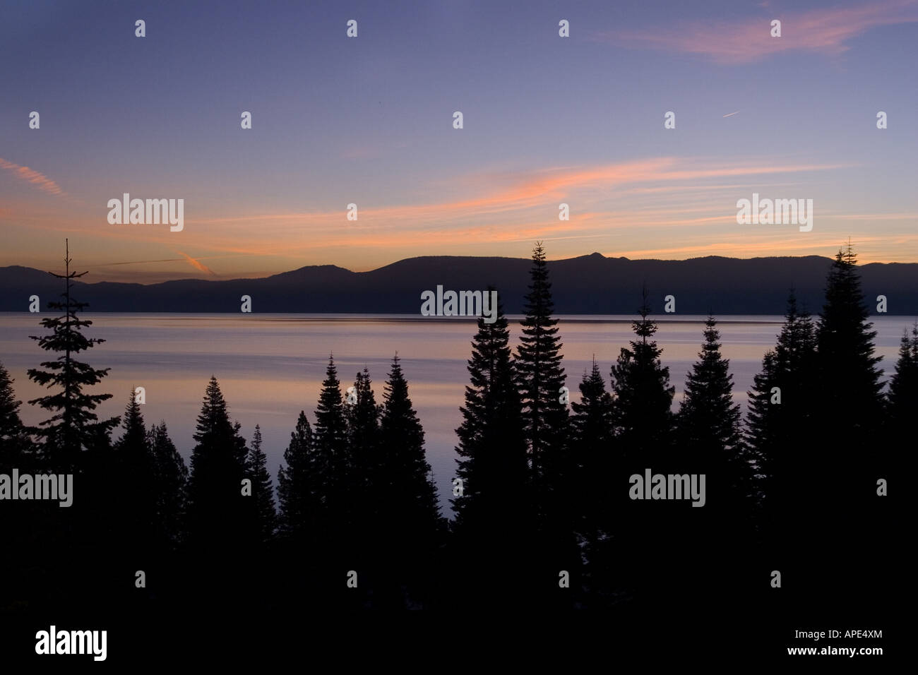 Silhouetted trees at sunrise above Lake Tahoe, California Stock Photo