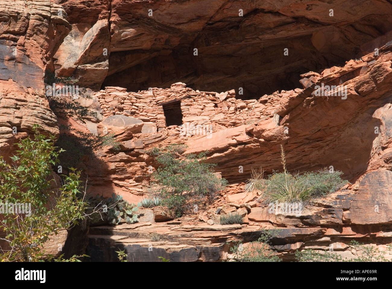 Anasazi or Sinagua indian cliff dwelling ruins in Wood s Canyon in