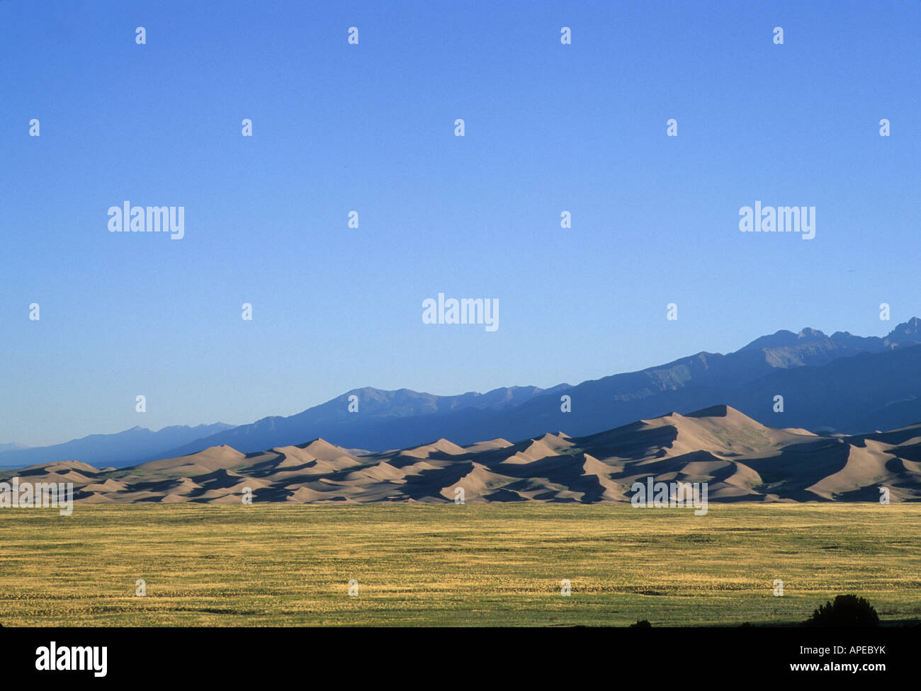 A sunrise view of North America's highest sand dunes rising 750 feet. Stock Photo