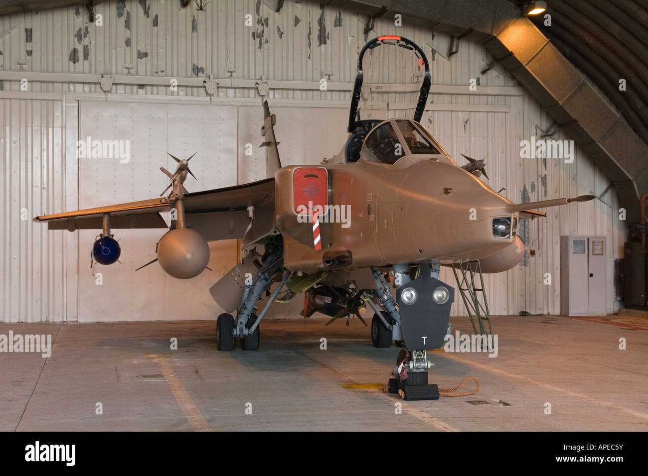 RAF Jaguar in a commemorative paint scheme for the disbandment of 6 squadron and the retirement of the type from RAF Service Stock Photo