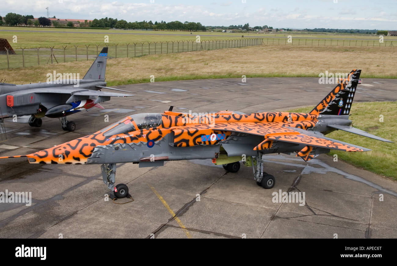 RAF Jaguar in a commemorative paint scheme for the disbandment of 6 squadron and the retirement of the type from RAF Service Stock Photo