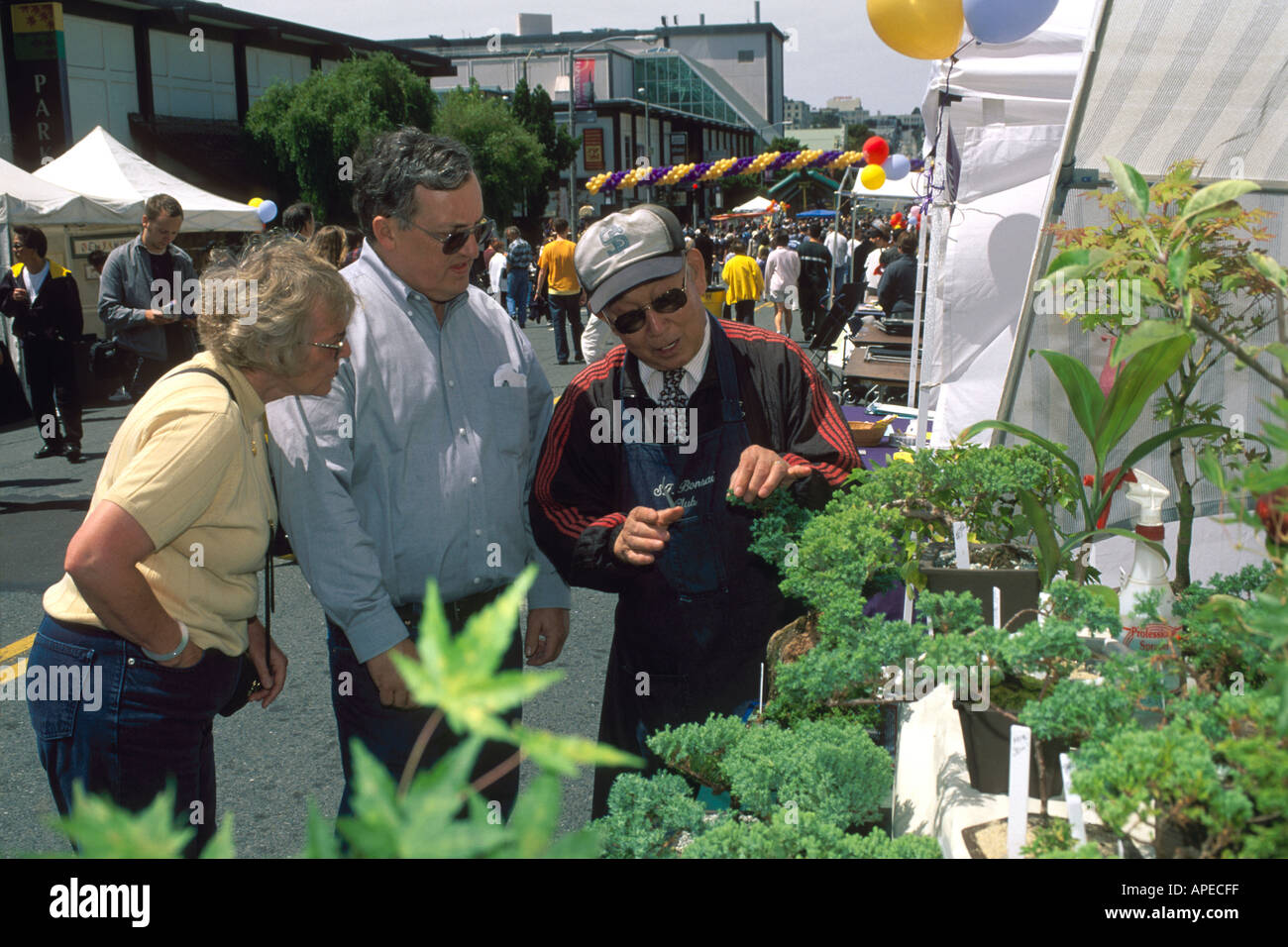 Couple looking at bonsai tree display booth at city craft fair street