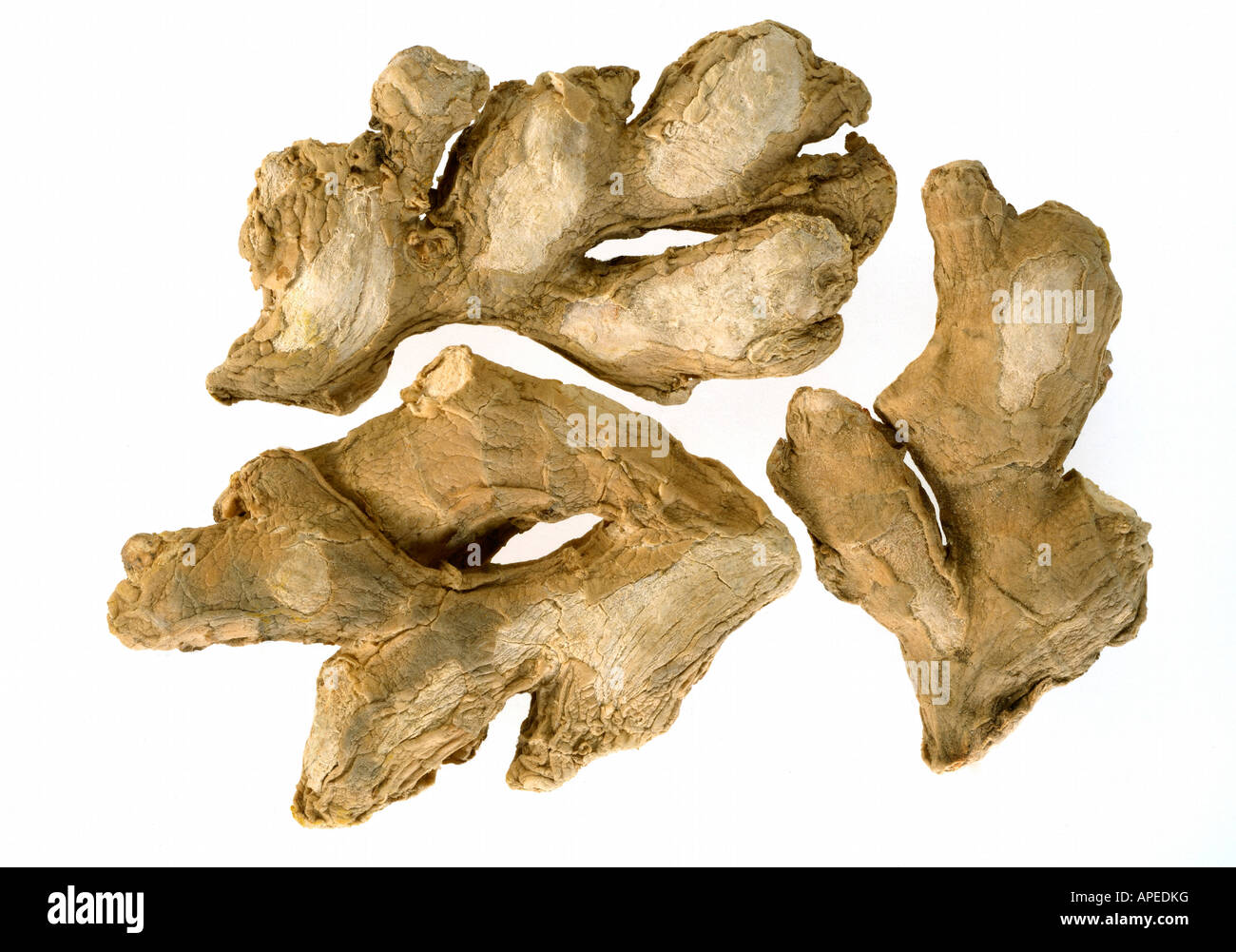 Dry ginger Hindi Sonth Botanical name Zingiber Officinale Family Scitaminae used for digestive