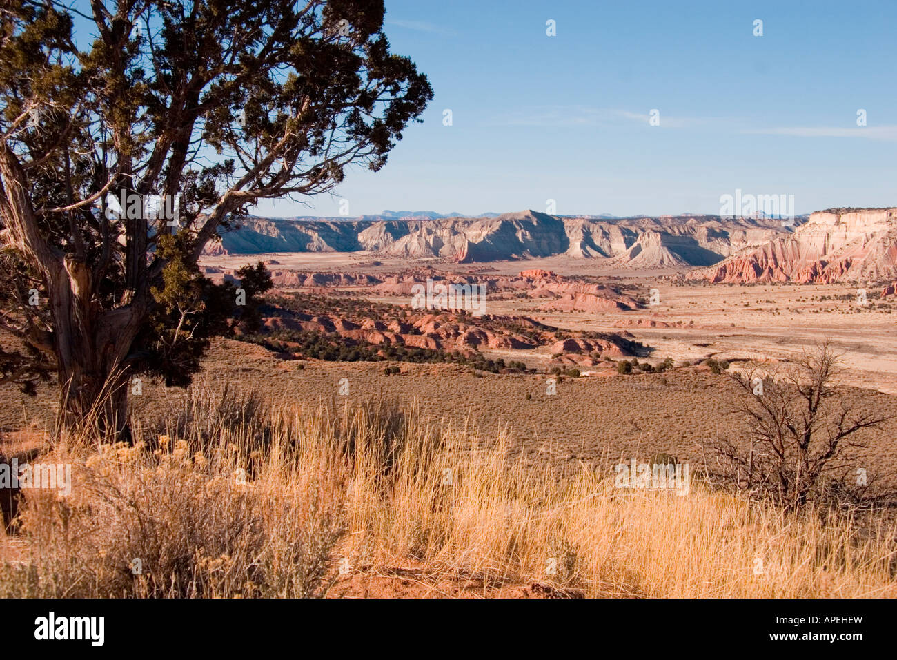 A view down into the canyon that forms the State Park from elevation. Stock Photo