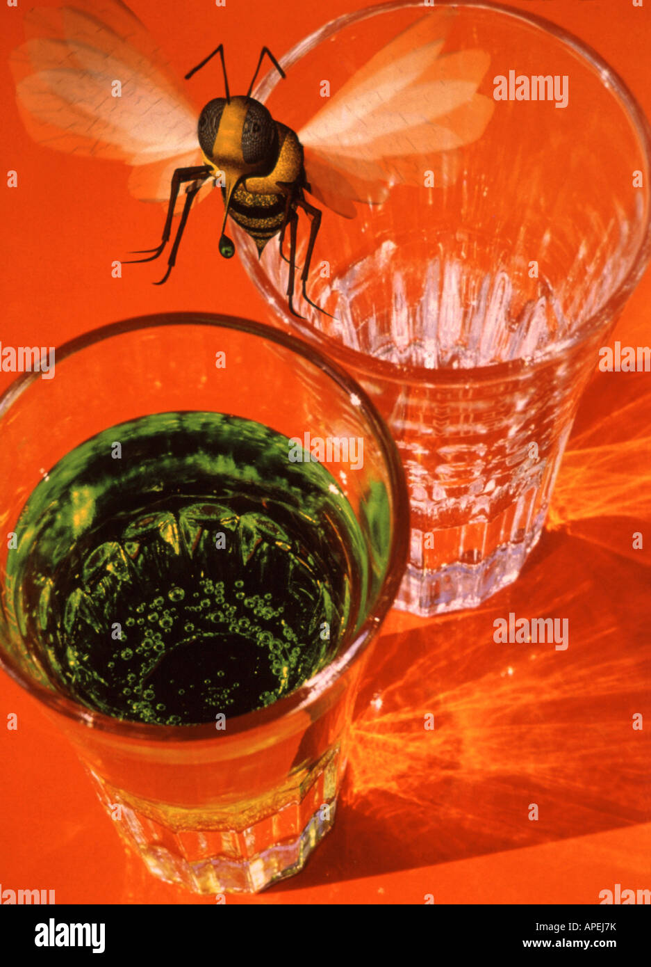 Bee and sweet liquid. Stock Photo