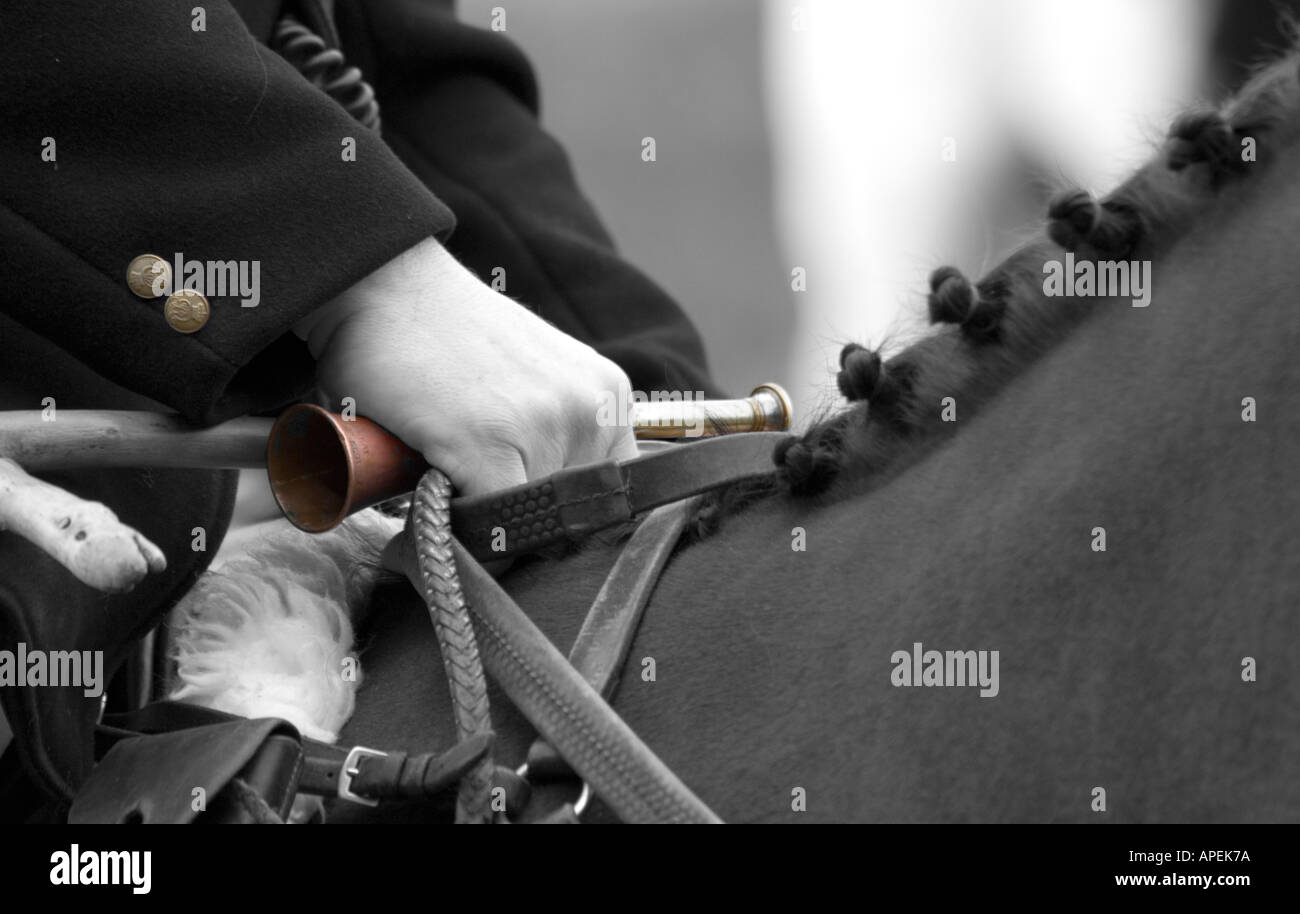 Fox hunting, huntsman Stock Photo