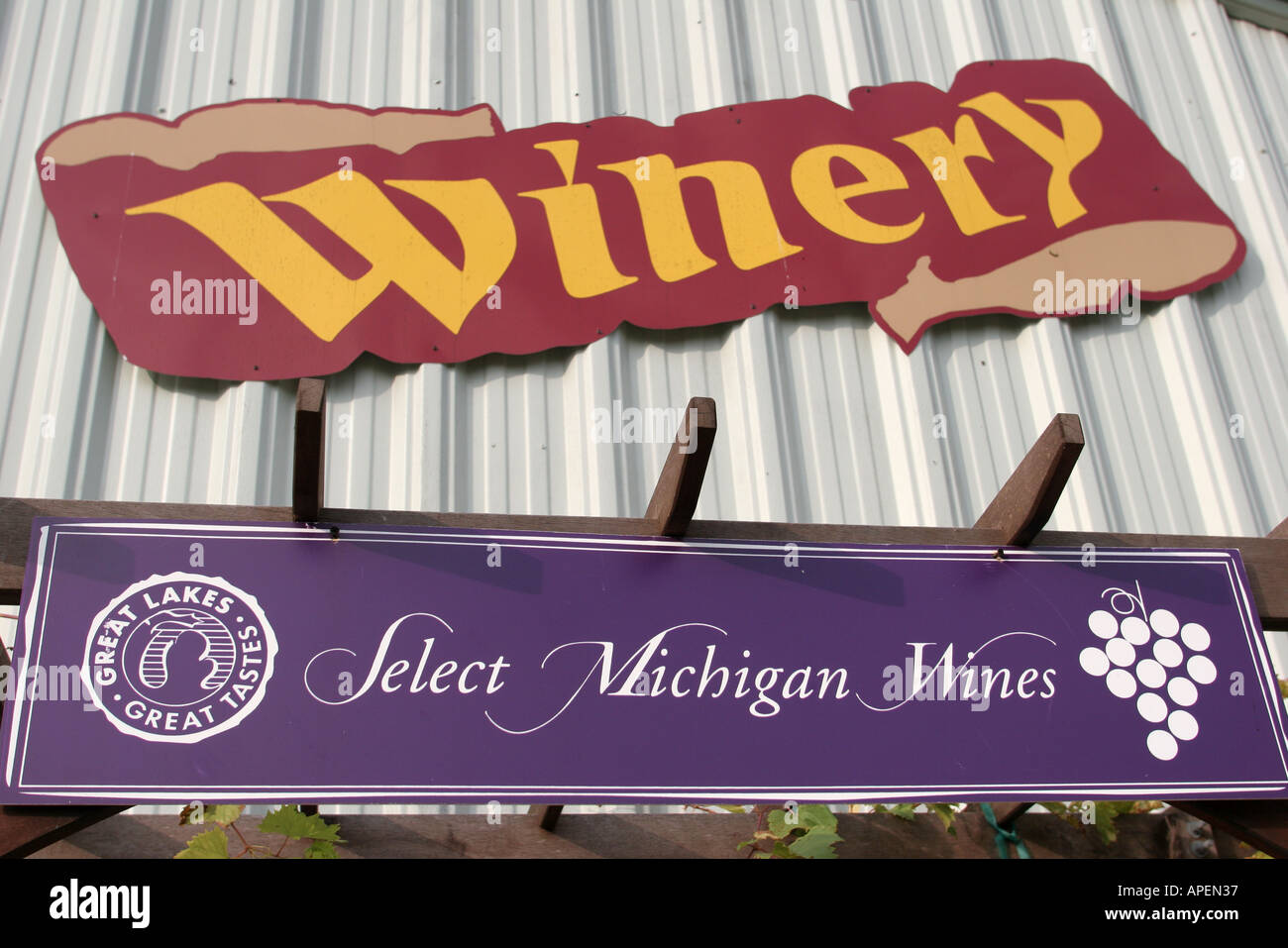 Michigan,MI,Mich,Upper Midwest,Parma,Cherry Creek water Vineyard and