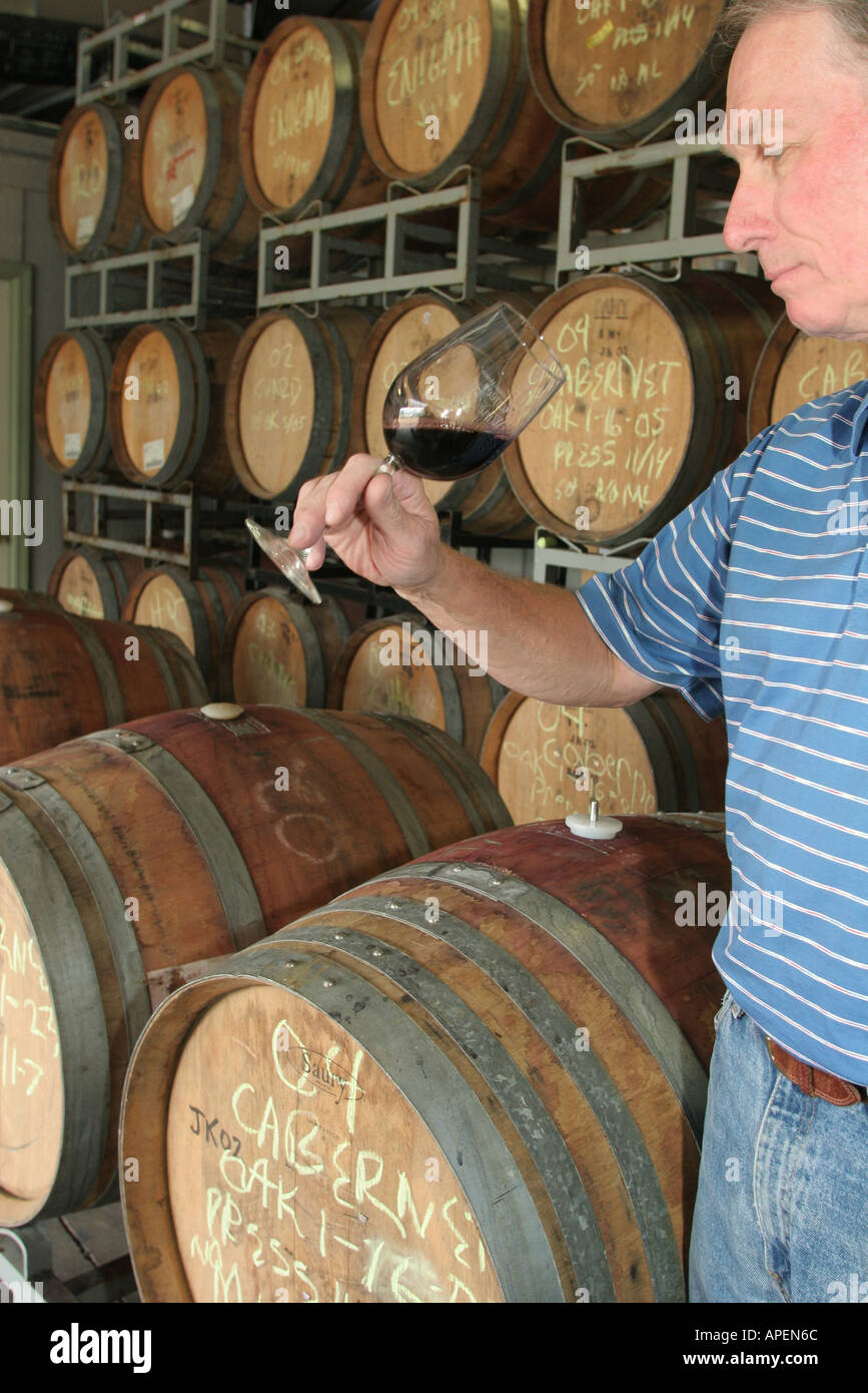 Michigan,MI,Mich,Upper Midwest,Parma,Cherry Creek water Vineyard and