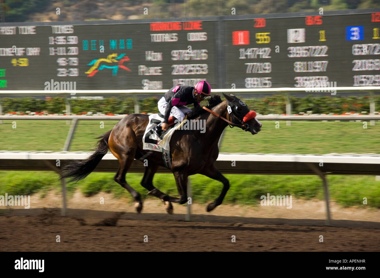 Del mar race track hires stock photography and images Alamy