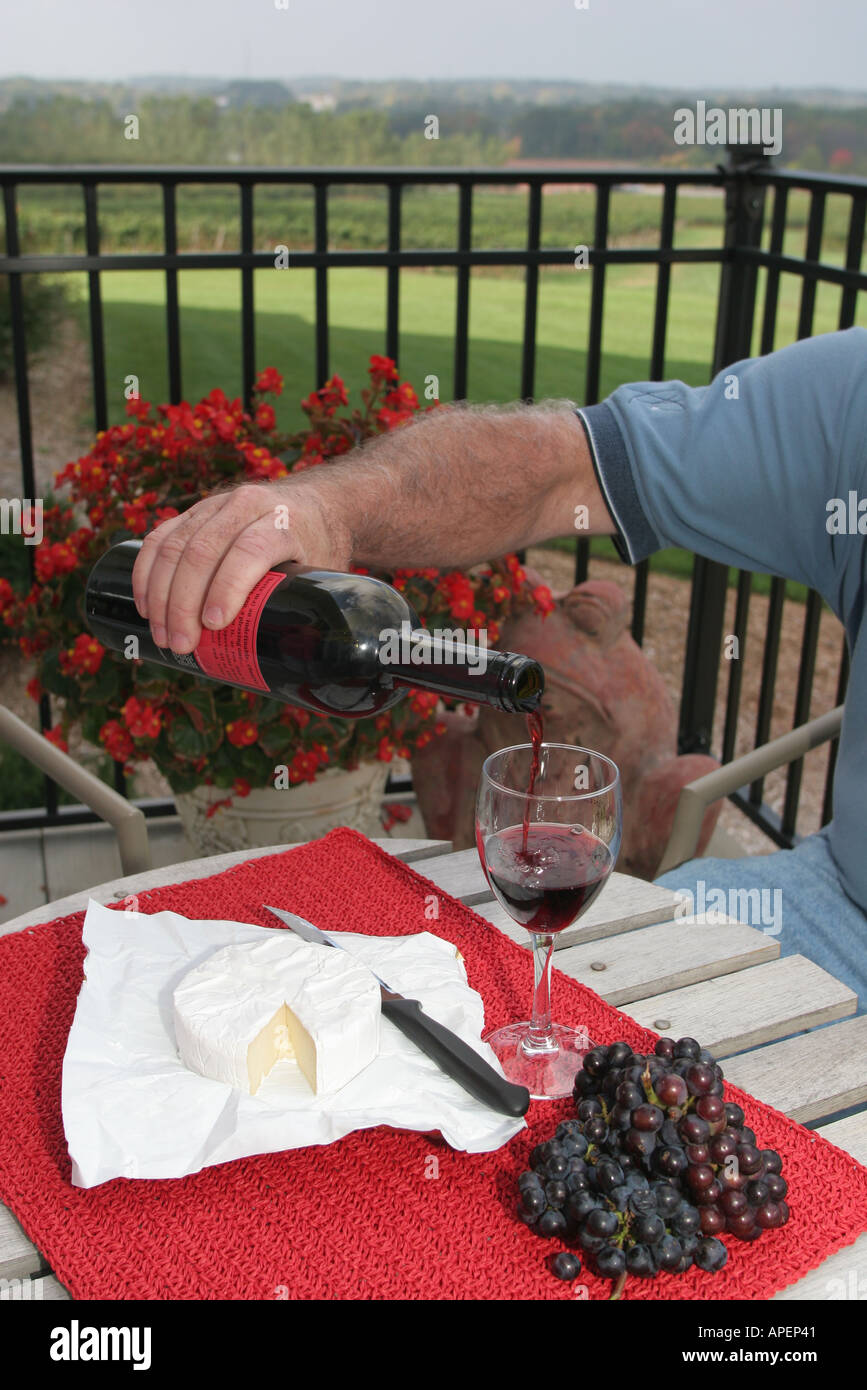 Michigan,MI,Mich,Upper Midwest,Coloma,Karma Vista Vineyards and Winery