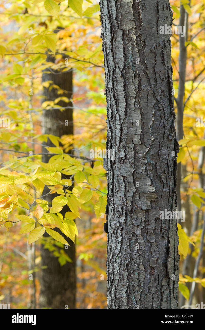 New england scenery cycle hi-res stock photography and images - Alamy