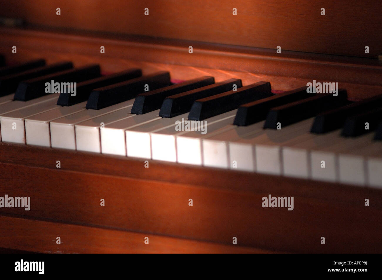 Piano keys with soft bars of sunlight Stock Photo Alamy