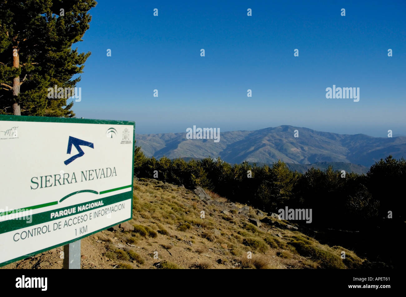 Forest and Alpujarras mountain peaks in Sierra Nevada National Park, Granada, Andalucia, Spain. Stock Photo
