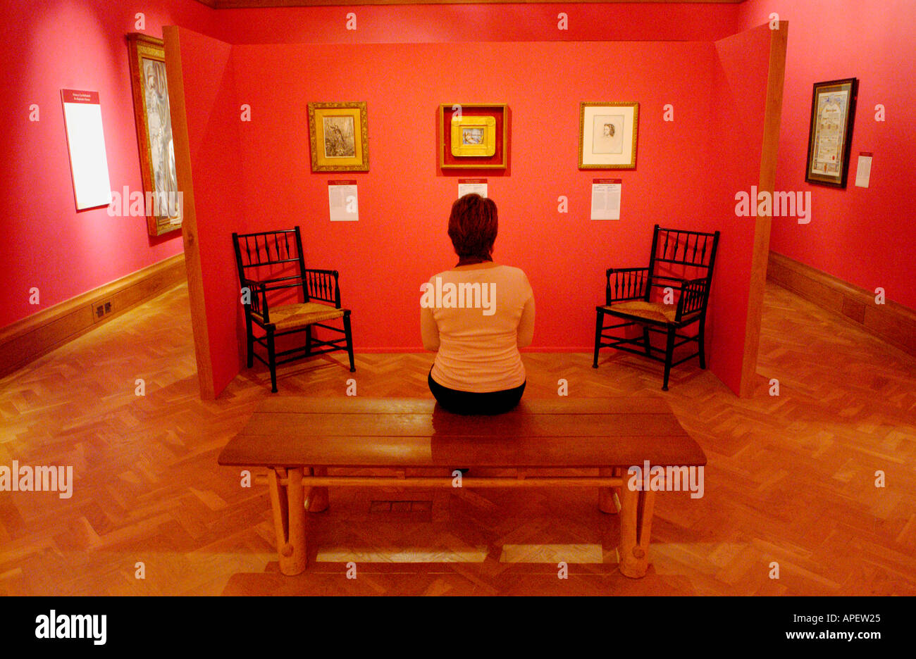 Woman looking at art exhibition at the National Museum and Gallery