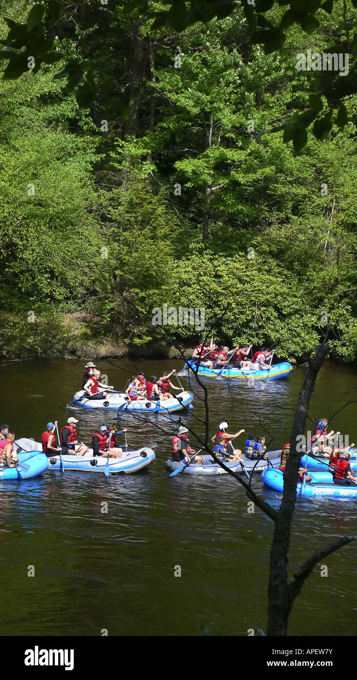 Rafters on blue inflatable rafts on river with dense forest in background. Stock Photo