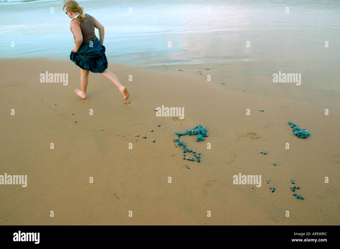 A young girl running on a beach, trying to avoid pack of bluebottle jellyfish, Sydney, Australia. Stock Photo