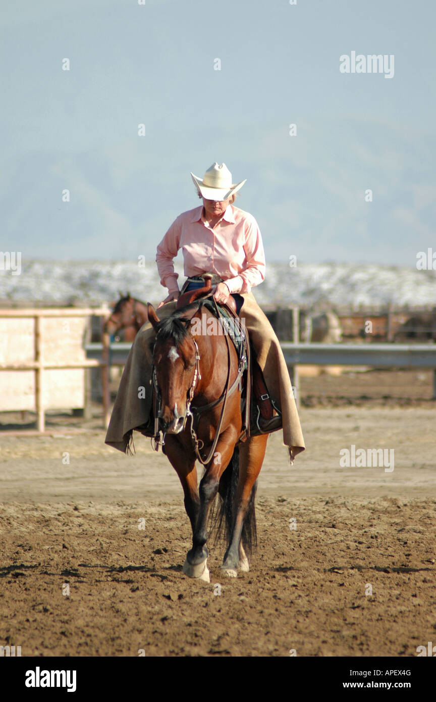 Cowboys Men and Women at Cutting horse with cattle competition on ranch