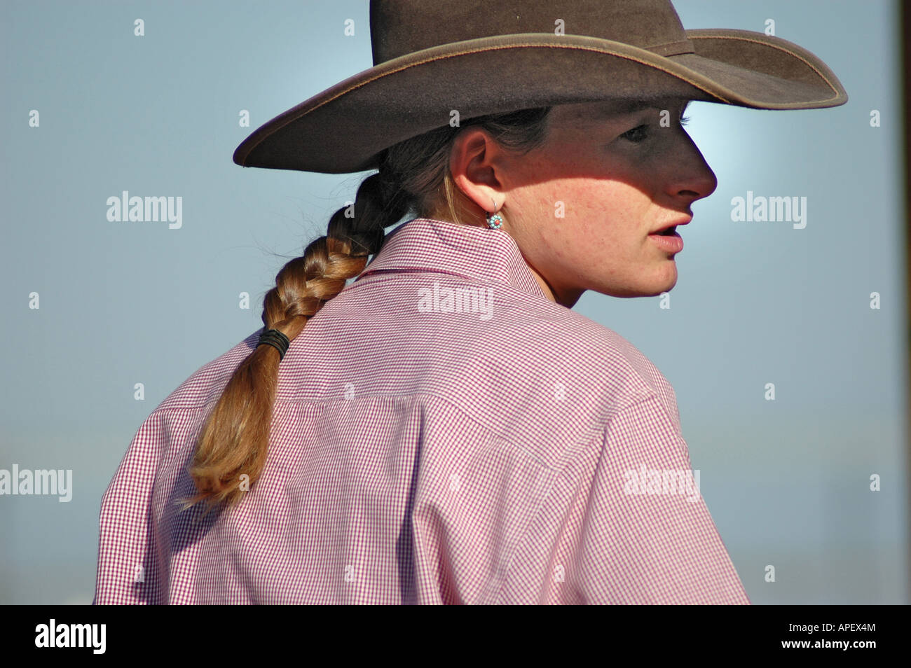 Cowgirl herding cattle hi-res stock photography and images - Alamy