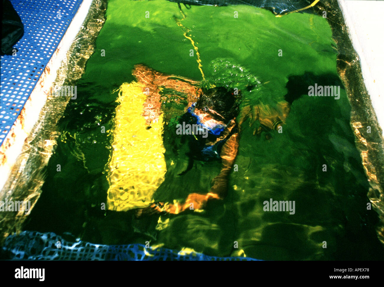 UNDERWATER HOTEL KEY LARGO Stock Photo Alamy