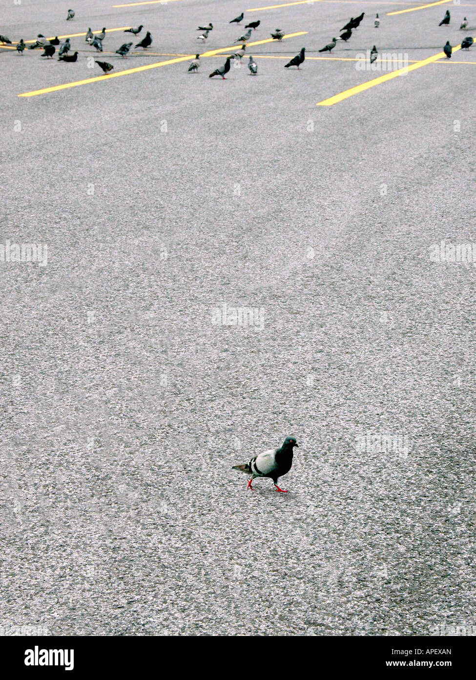 Walking away from each other hi-res stock photography and images - Alamy