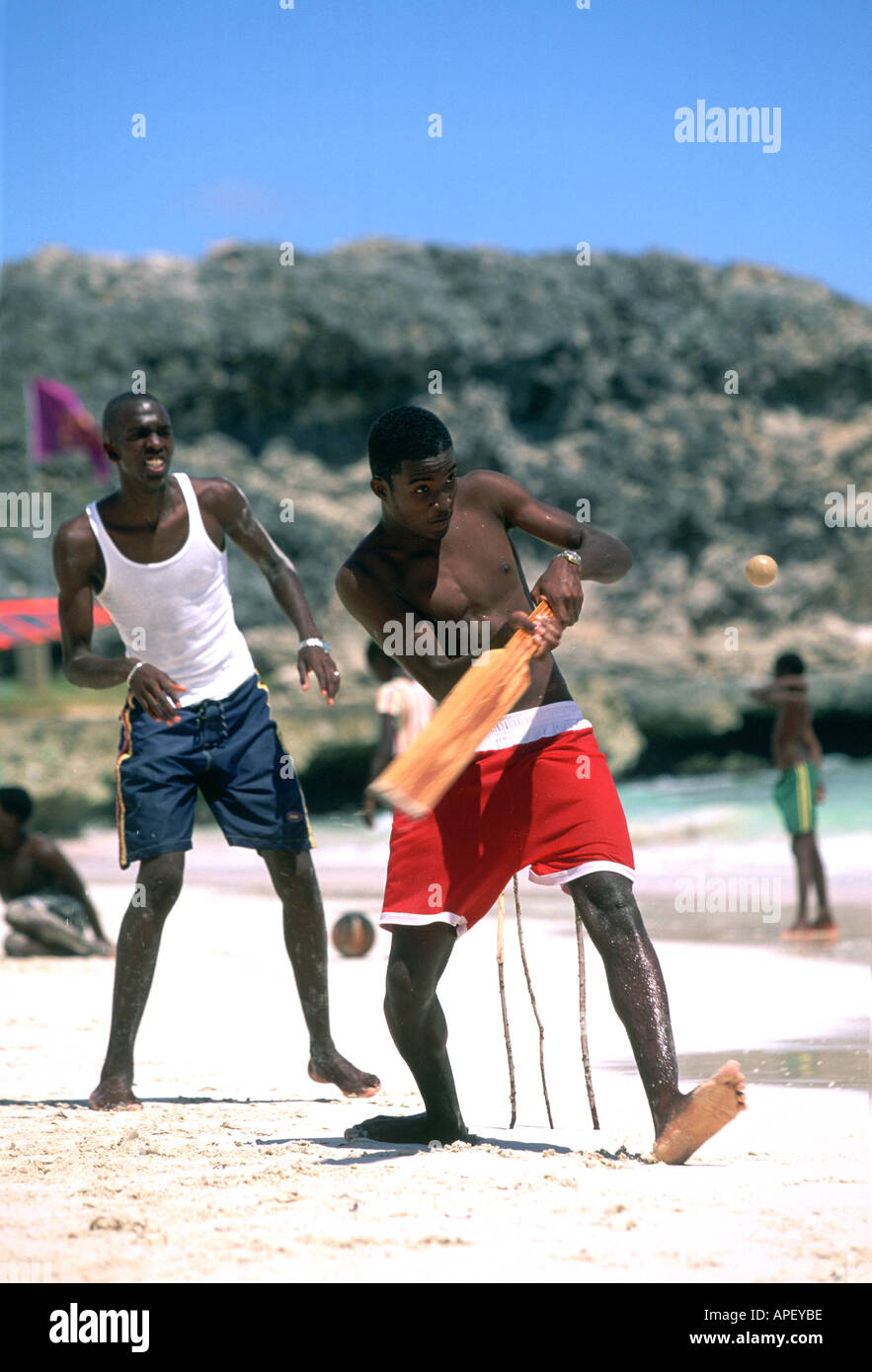 Beach cricket, concentration at wicket, Barbados Stock Photo