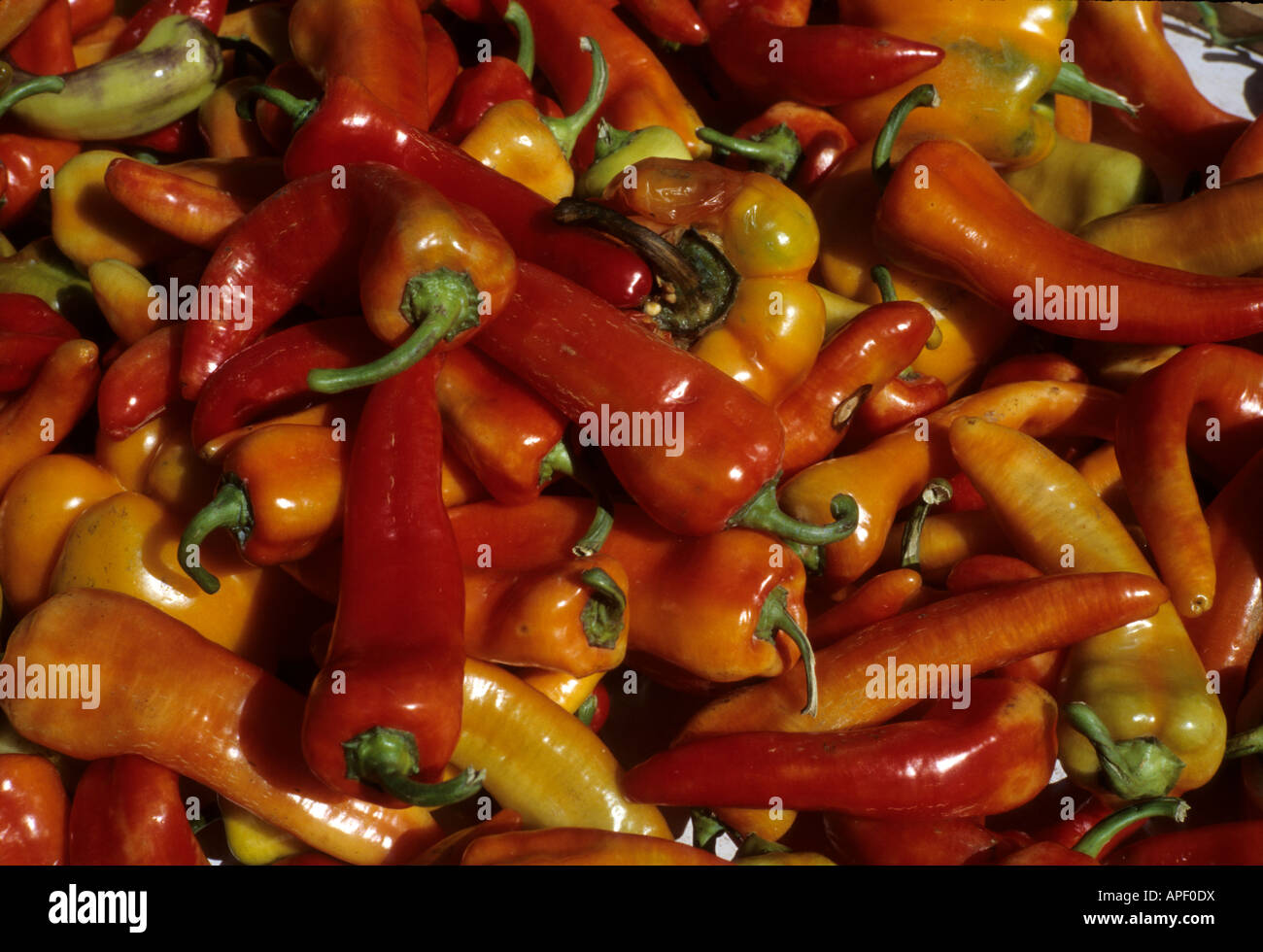 Hot red peppers sit in a bin in a farmer's market Stock Photo - Alamy