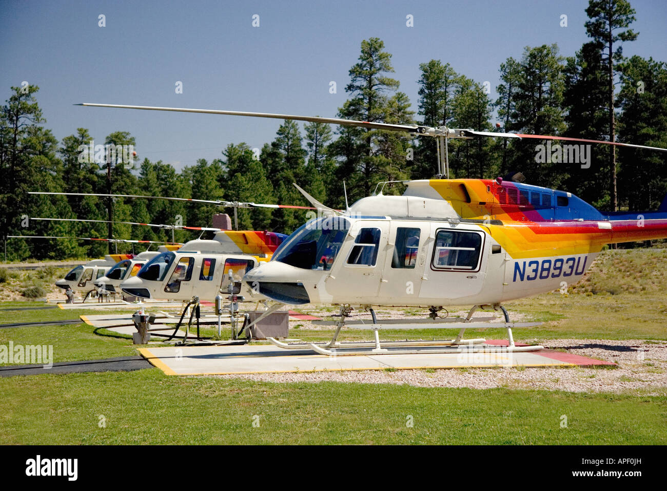 Four colorful helicopters parked in a row on cement tarmac, with pine trees and blue sky in background. Stock Photo