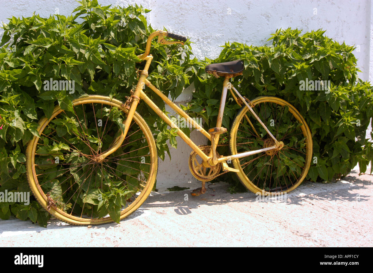 Bicycle tires on yellow hi-res stock photography and images - Alamy