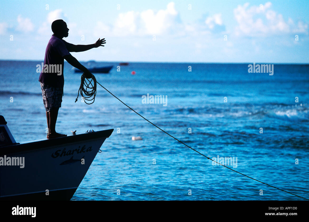Bringing the boat to shore at sunset Barbados Stock Photo
