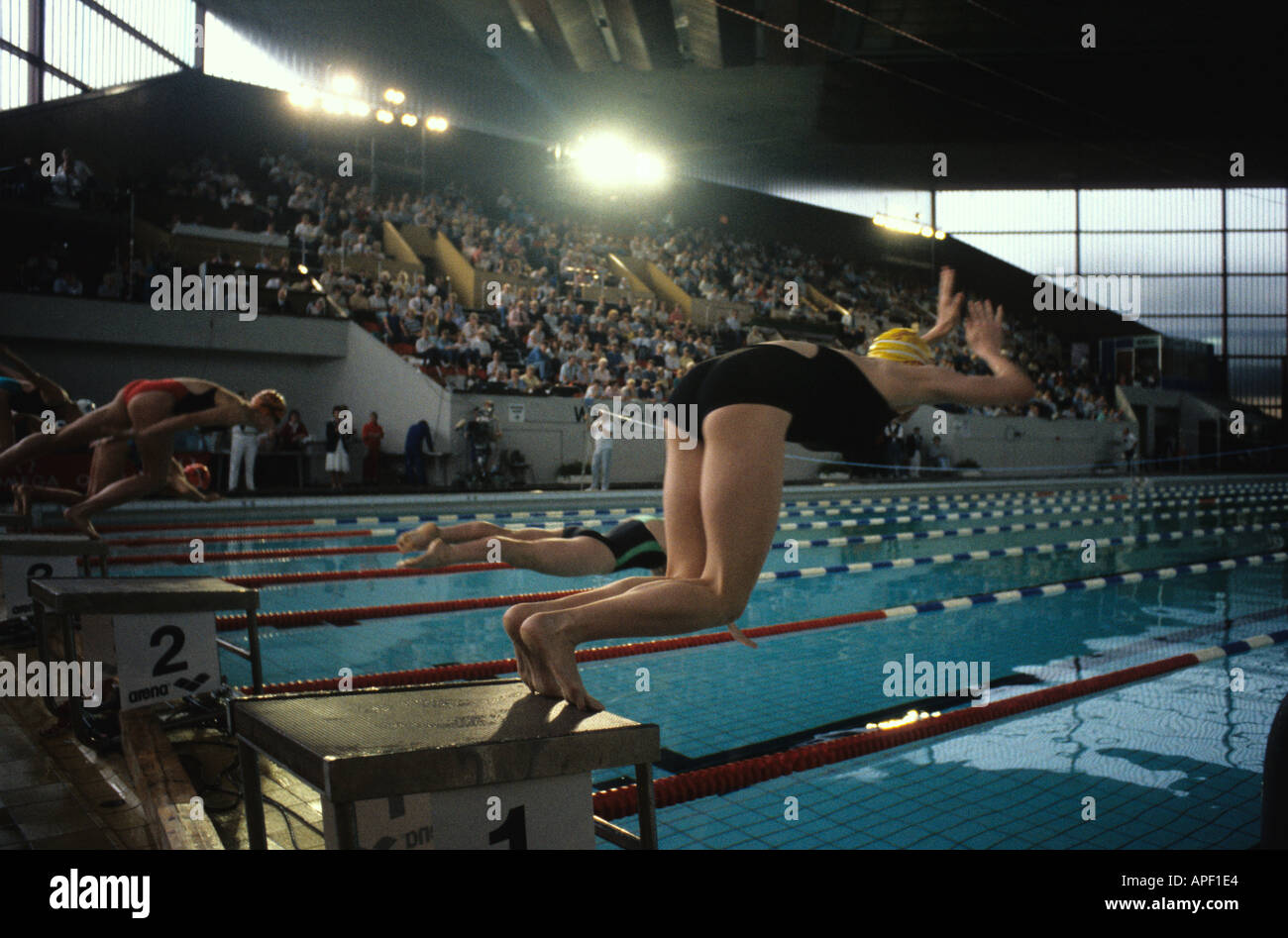 women diving into swimming pool at start of race at leeds Stock Photo