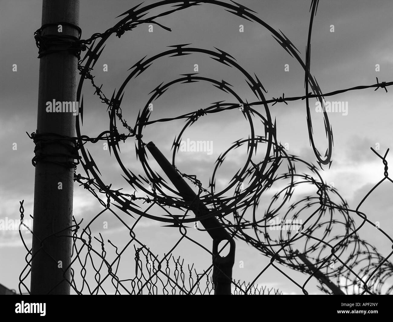 Concertina wire and fence Stock Photo