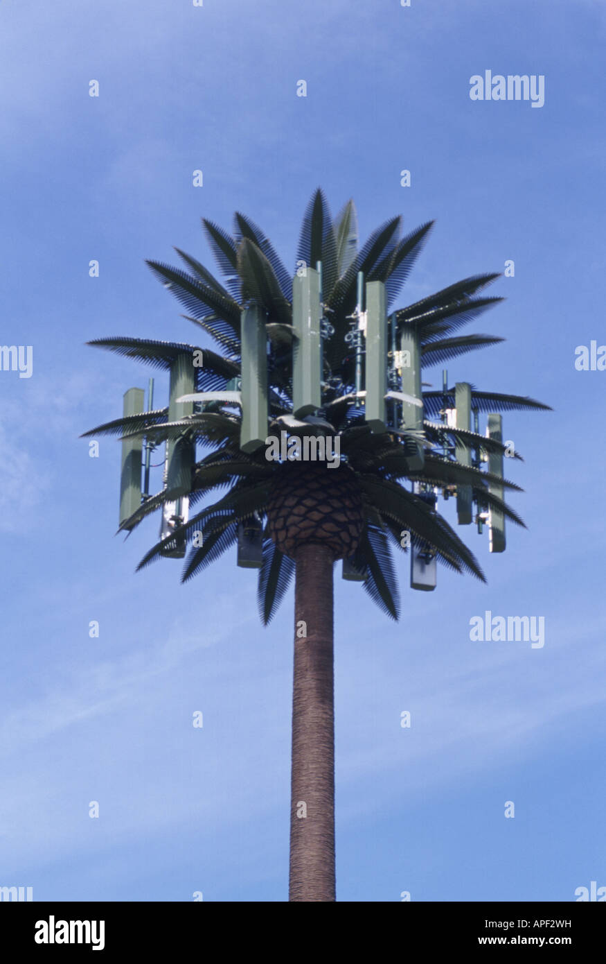 Synthetic palm tree with cellular phone antenna panels, California