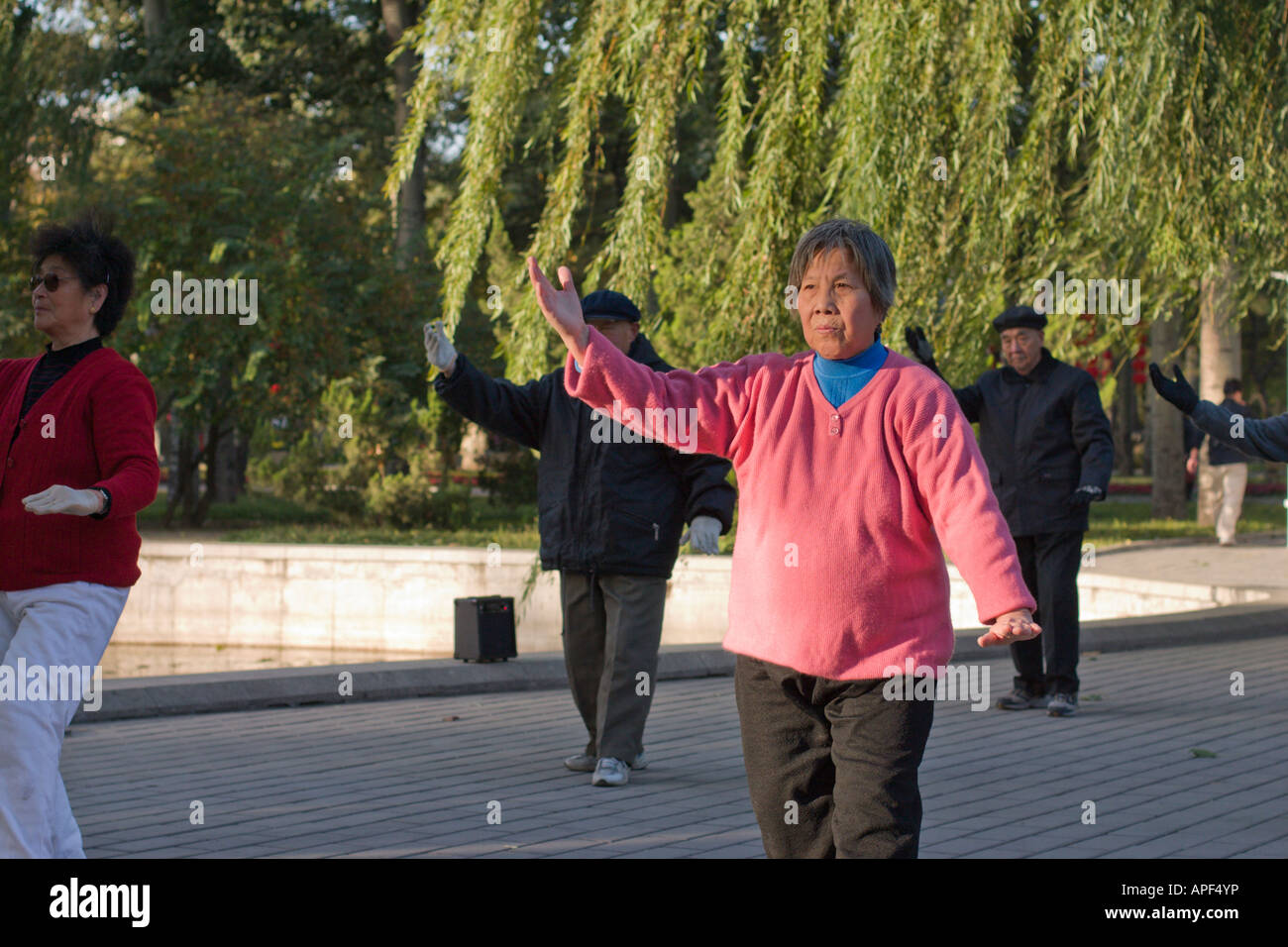 Beijing, a women in Ritan park doing taichi exercises Stock Photo
