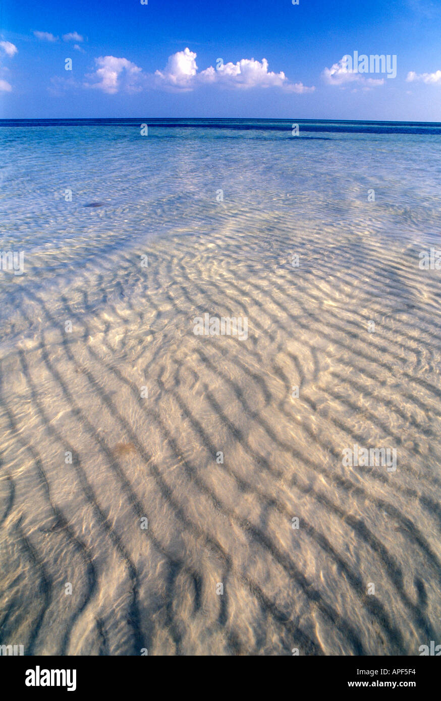 Crystal clear water at low tide Sand Spur Beach Bahia Honda State Park the Florida Keys FL Stock Photo