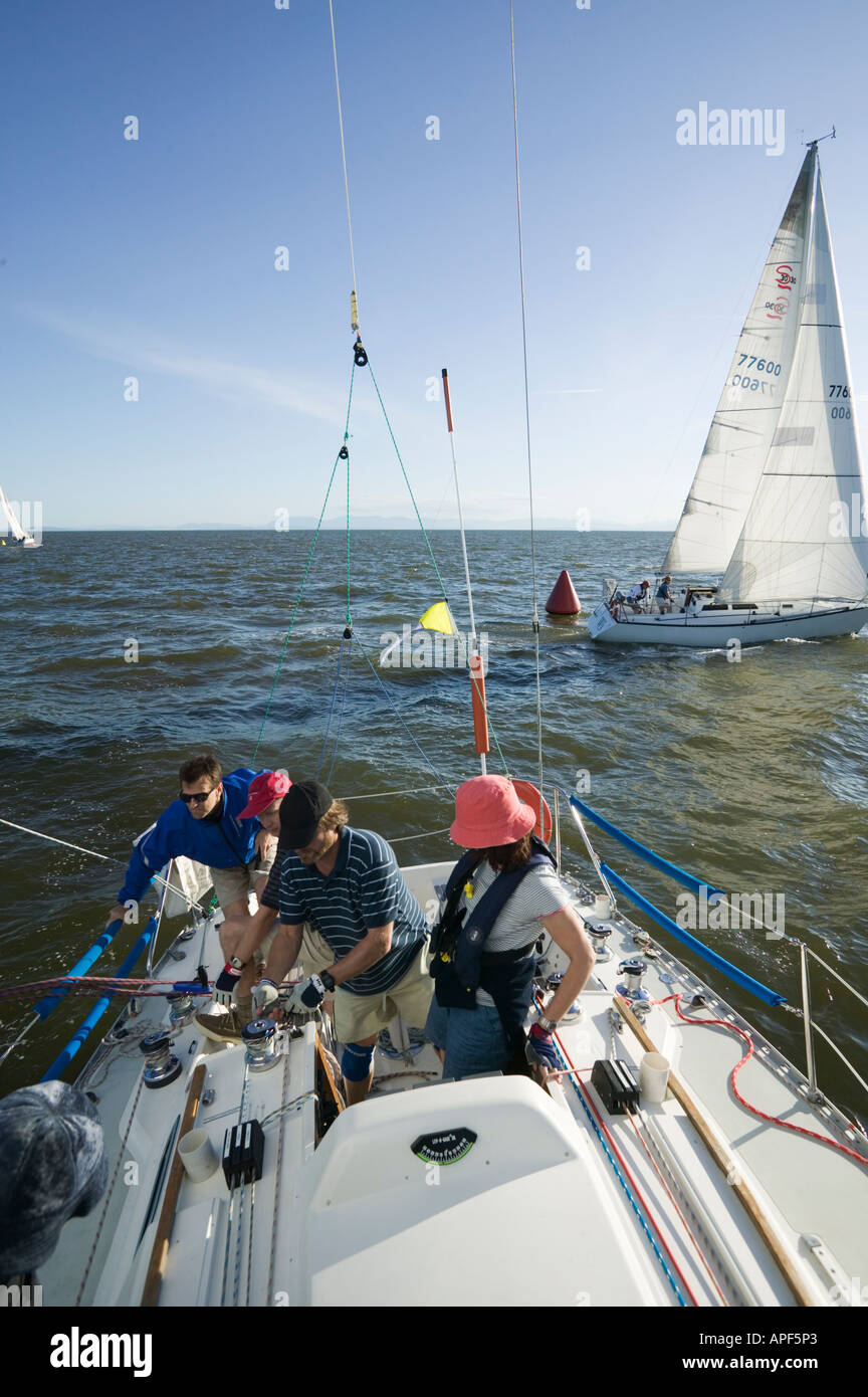Sail racing West Vancouver Yacht Club Stock Photo Alamy