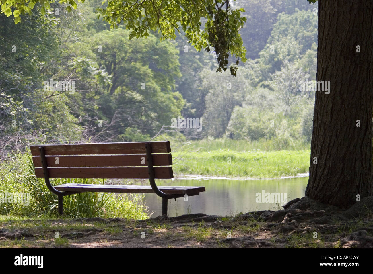Bench and pond in Millbrook Meadow, Rockport, MA. NR Stock Photo Alamy