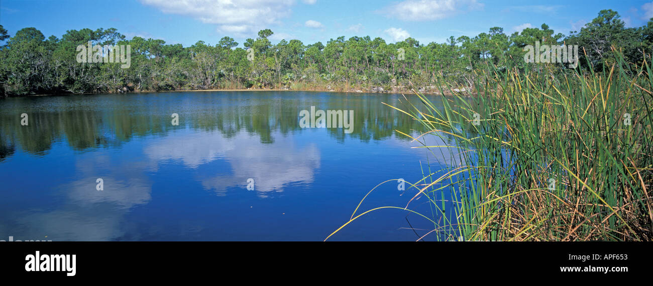 The Blue Hole Key Deer National Wildlife Refuge Big Pine Key Florida