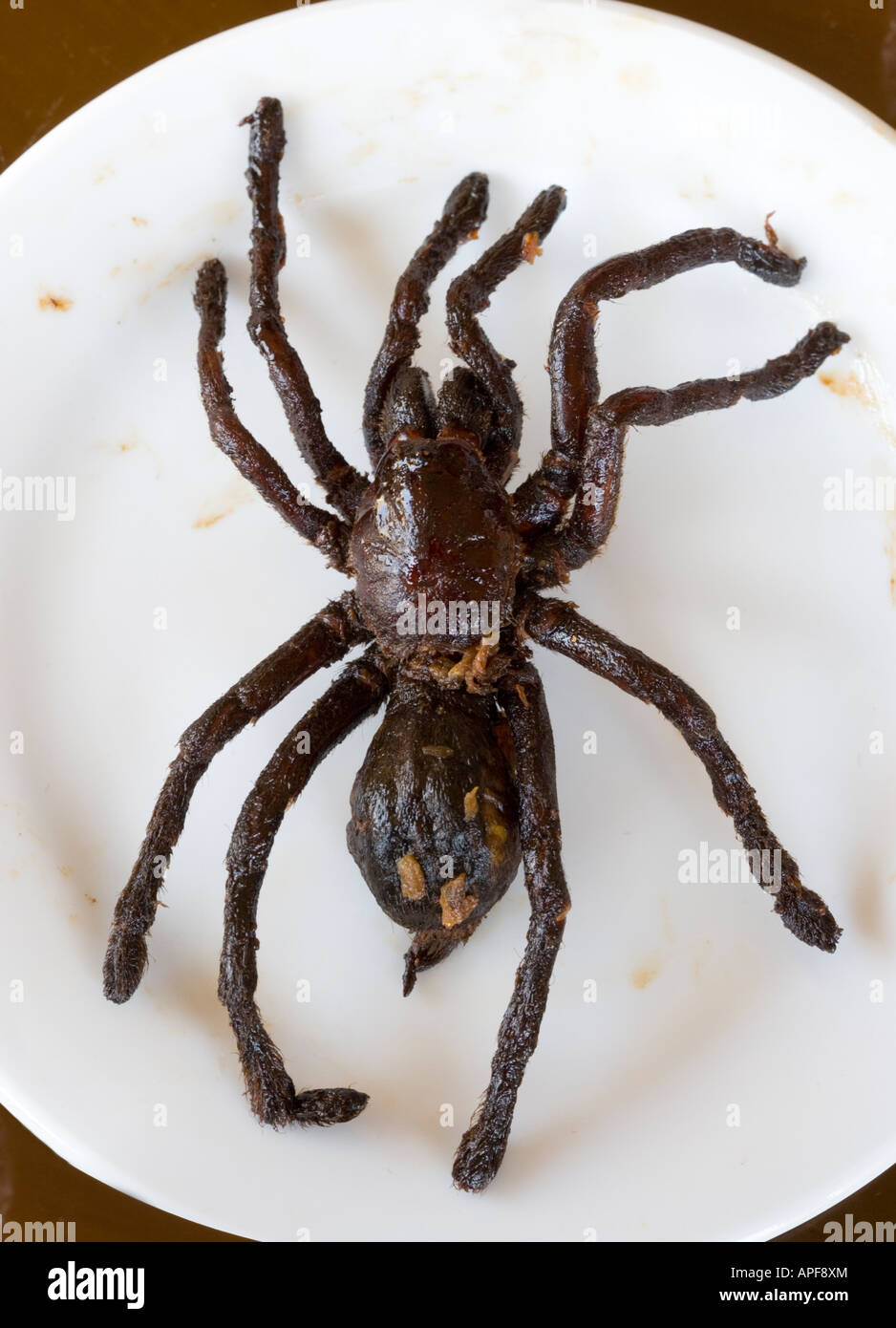 Deep Fried Tarantula Spider Phnom Penh Cambodia Stock Photo Alamy