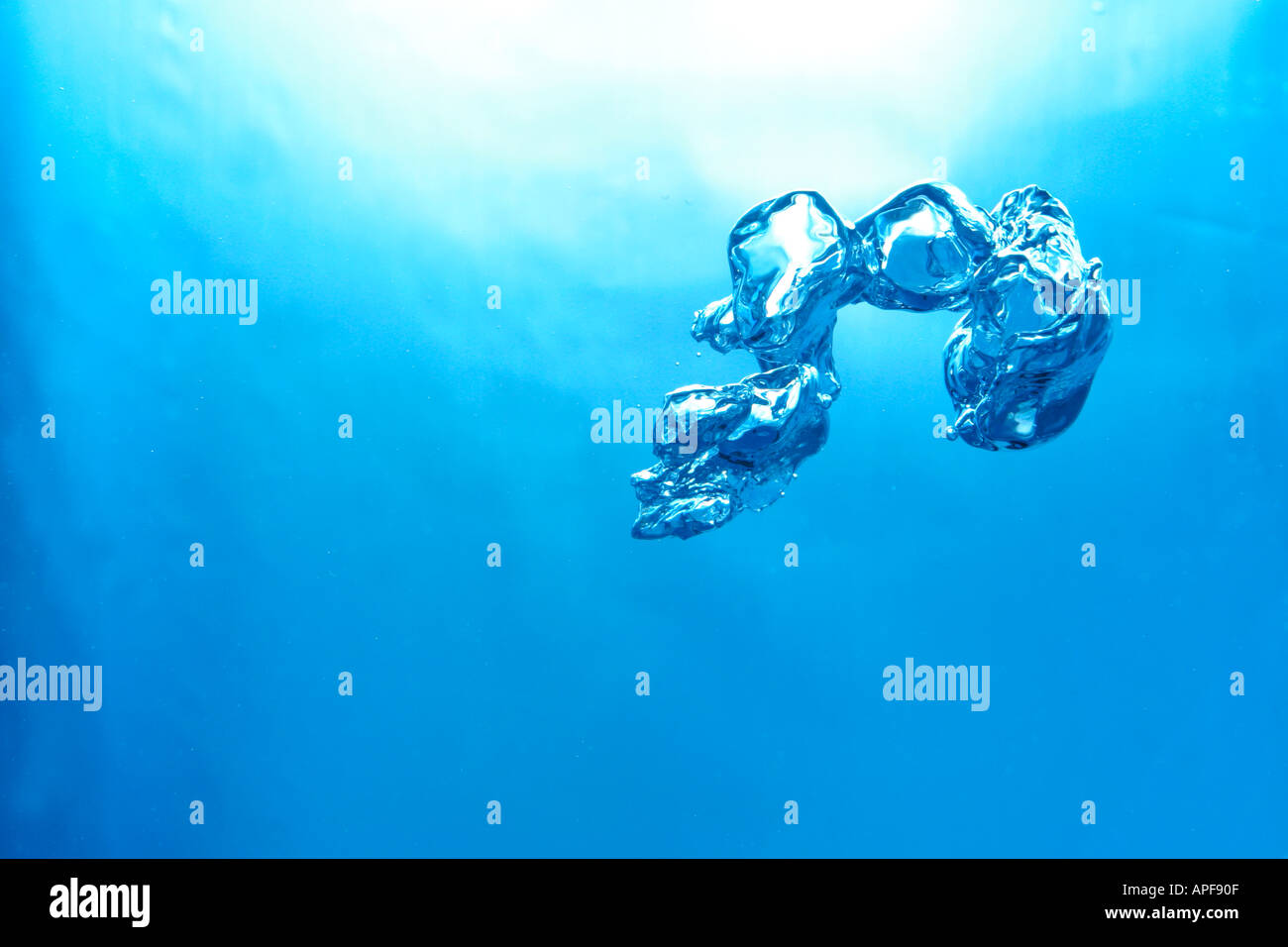 bubble in a fish tank Stock Photo Alamy