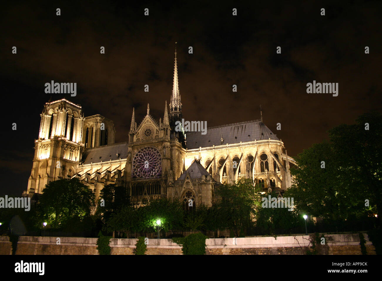 Notre Dame at night Stock Photo Alamy