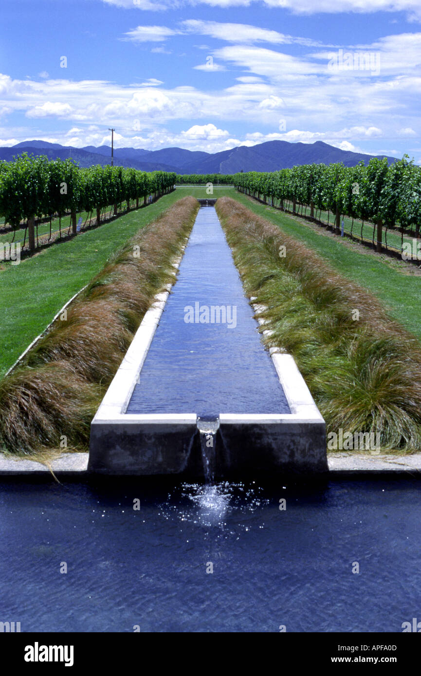 Fountain and Vines at Villa Maria Winery, Blenheim, South Island, New