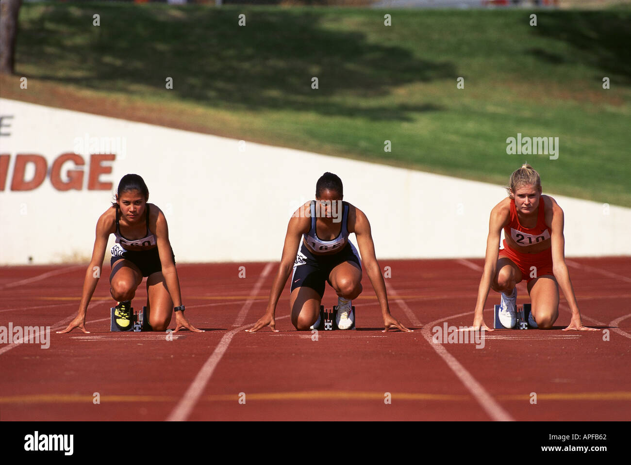Sport Track Field Athletics Track Event Stock Photo Alamy
