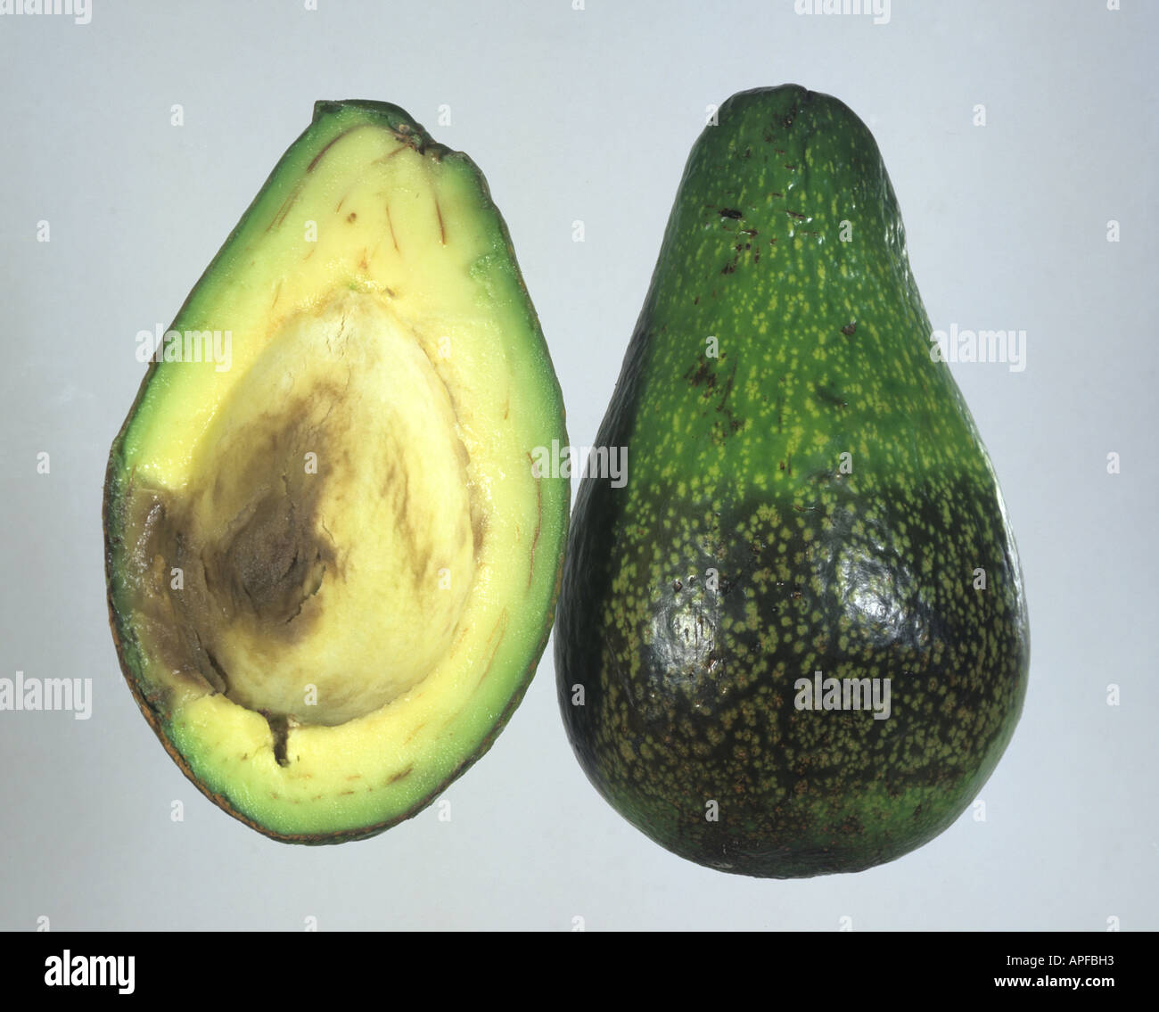 Dothoriella rot Botryosphaeria ribis symptom in sectioned avocado pear fruit Stock Photo