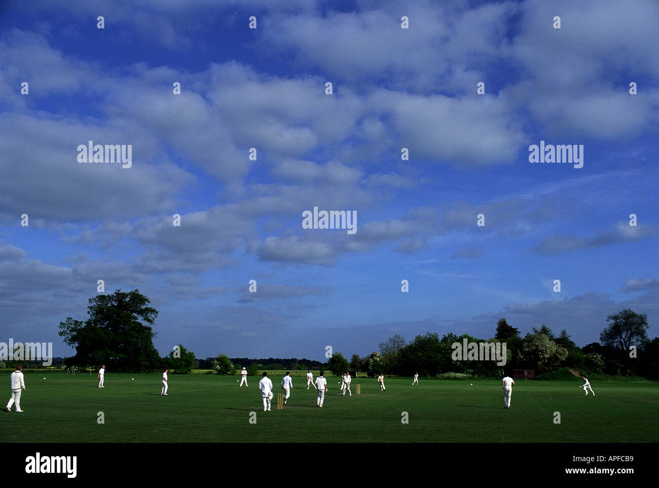 Sport Team Sports Ball Games Cricket Stock Photo Alamy