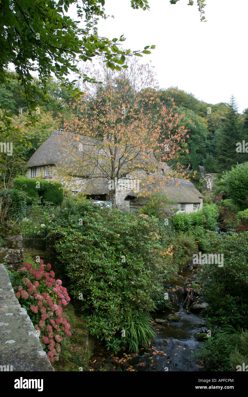 Thatched cottages, Bucklandinthemoor, Devon Stock Photo Alamy