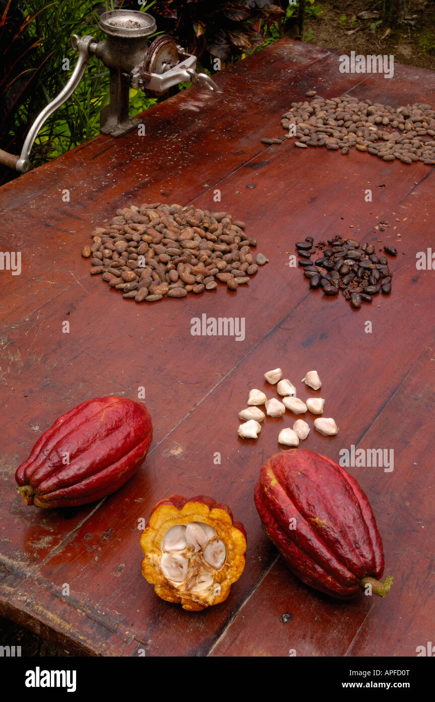 Stages of chocolate production Stock Photo