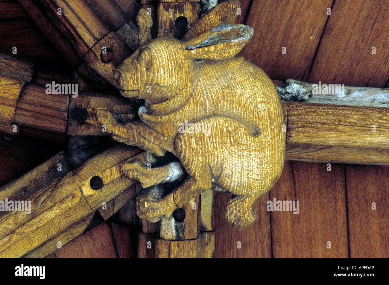 Lincoln Cathedral roof boss Rabbit medieval wooden bosses carvings rabbits Stock Photo