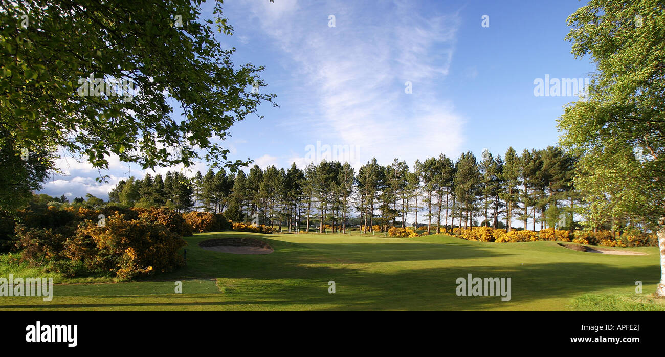 The Buddon Links 7th hole Carnoustie golf Links scotland Stock Photo